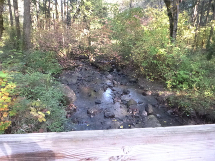 View of Johnston Creek from the bridge